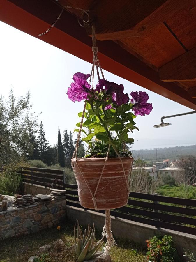 Villa Achinos Akhinos Buitenkant foto